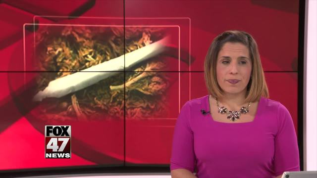 Marijuana legalization ballot drive launched in Michigan