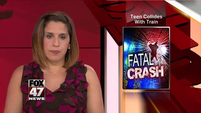 Car, train collide near Zeeland; teen driver killed