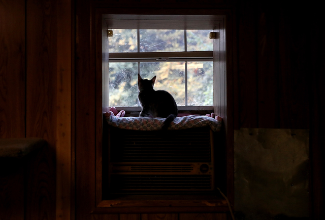 Menards: How to prepare your home for winter