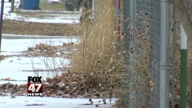 Police explore potential link between Skelton boys and teeth found in Montana