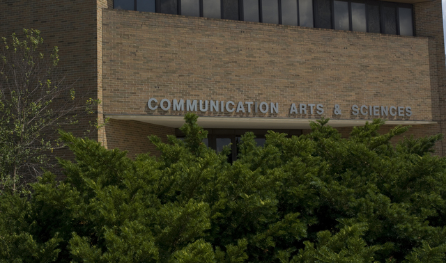 Business, IT students ready to help local companies