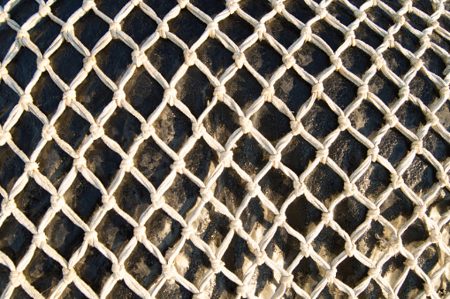 Net fishing season to open in many of Michigan's waters