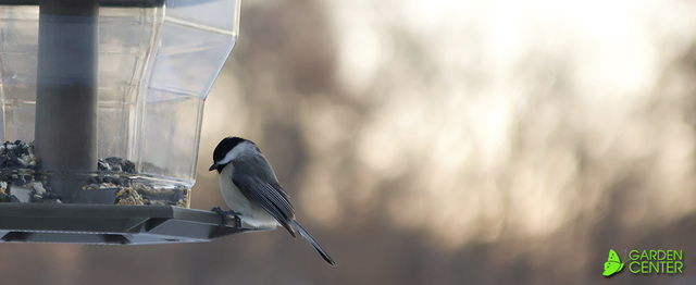 Menards Home Improvement: "Attract Birds to your Yard"