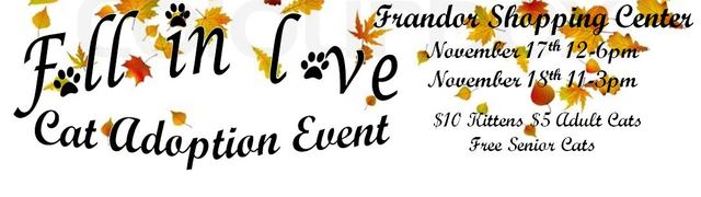 "Fall in Love" Cat Adoption Event at Frandor